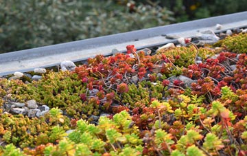 the cost of Laneast green roof installation