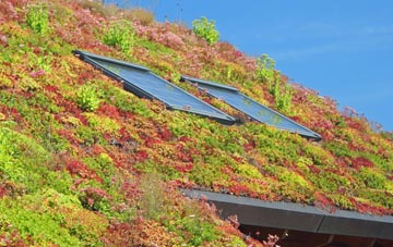 Laneast living roof systems